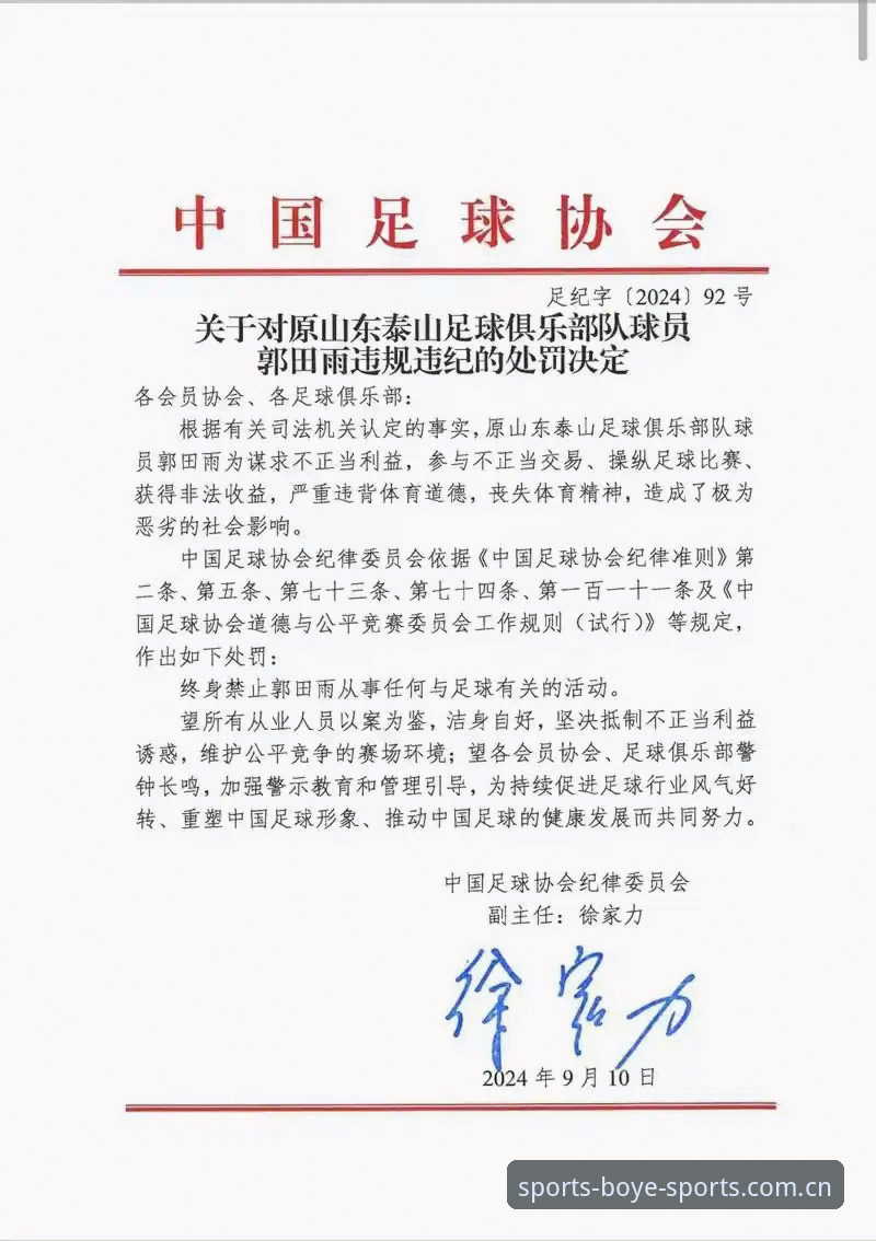 中国足协第三批禁足名单详解——65人受罚，17人终身禁赛